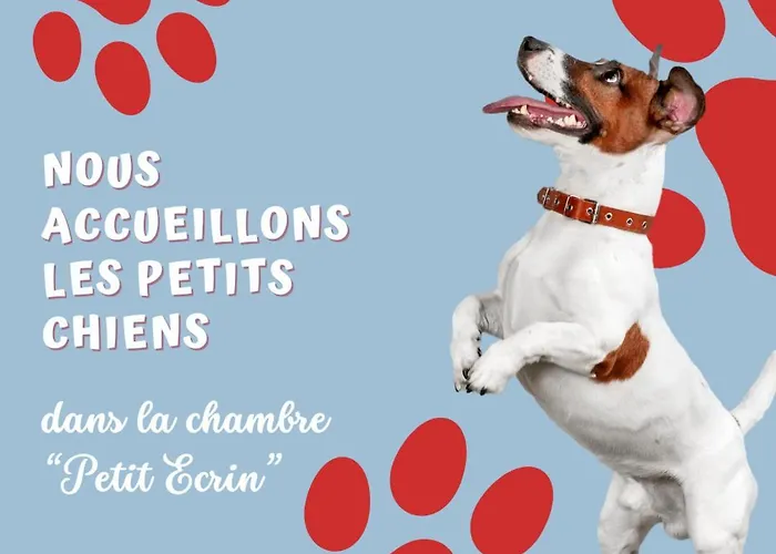 Le Petit Ecrin, Etonnante A 80 M De La Bed & Breakfast 3*