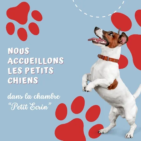 Le Petit Ecrin, Etonnante A 80 M De La Bed and breakfast *